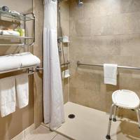 King Room with Roll-In Shower - Disability Access