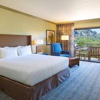 Non-Smoking King Room with Mountain View