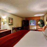 King Room with Sofa Bed - Non-Smoking