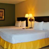 Standard Room with Two Double Beds