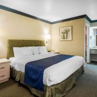 King Room - Non-Smoking