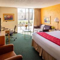 One-Bedroom Deluxe King Suite - Non-Smoking