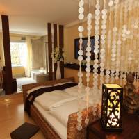 Theme Deluxe Room
