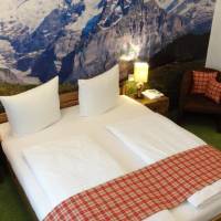 Economy Themed Deluxe Room