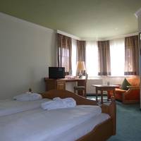 Superior Single Room