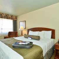 Queen Room with Roll-in Shower - Disability Access - Non smoking