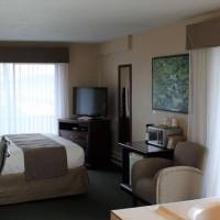 Premier King Studio Suite with Ocean View - Non-Smoking