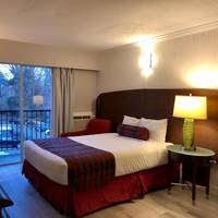 One-Bedroom Queen Suite - Non-Smoking