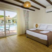 Deluxe Double or Twin Room with Pool Access