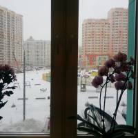 Апартаменты