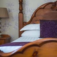 Executive Queen Room
