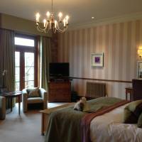Plush Junior Suite with a View