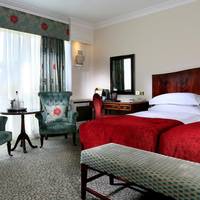 Superior Deluxe Double or Twin Room 