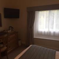 Executive Twin Room
