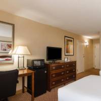 Standard Double Room with Two Double Beds