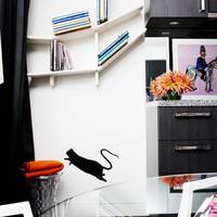 Street Art Studio Suite