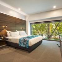 One King Bed- Accessible with Urban View
