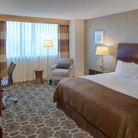 King Room - Allergy Free