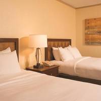 Executive Double Room - Non-Smoking