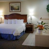 King Room with Hot Tub - Mobility Accessible