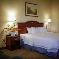King Room with Mobility Accessible Roll-In Shower