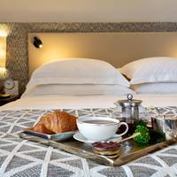 Deluxe Terrace Room