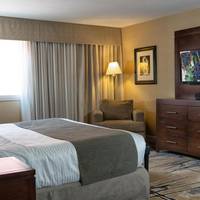King Studio with Sofa Bed
