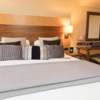 Premier King Room