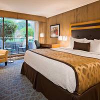 King Room with Ground Floor Patio and Garden View - Non Smoking