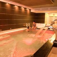 Double or Twin Room with Spa Access