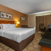 Superior Queen Room - Ground Floor