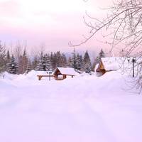  Cozy Cabin
