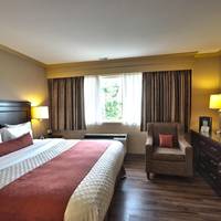 Executive King Suite