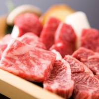 Room with Tatami Area - Non-Smoking - Extra Hida Beef Dinner Included  