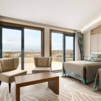 1 Queen Bed Non-Smoking Junior Suite
