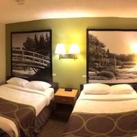 Double Studio with Two Double Beds - Non-Smoking
