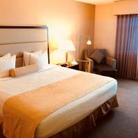 King Room - Pet-Friendly