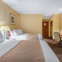 Double Room with Two Double Beds - Pet-Friendly/Non-Smoking
