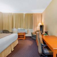 King Room - Pet Friendly/Non-Smoking