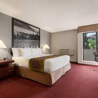King Room - Non-Smoking