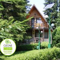 Four-Bedroom Maisonette (8 Adults)