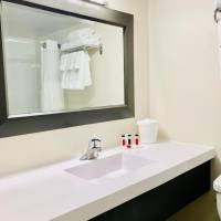 Executive King Room - Non-Smoking