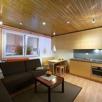 One-Bedroom Apartment - Annex