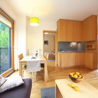 One-Bedroom Apartment with Terrace