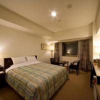 Double Room - Non-Smoking 