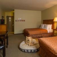 Queen Room with Two Queen Beds - Pet Friendly