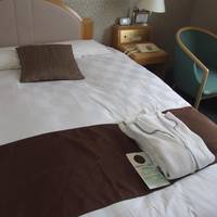 Double Room - Non-Smoking 