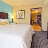 One-Bedroom King Suite