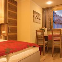Superior Studio Apartment PLUS  (2 Adults)