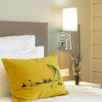 Single Room - Disability Access